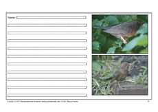 Amsel-eigene-Texte-8.pdf